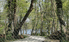 Umgebung zum Stadthaus in Potsdam - Blick zur Havel von Haus 5
